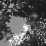 http://workspace.lightizm.com/files/gimgs/th-76_71_Nostalgia2_v2.jpg